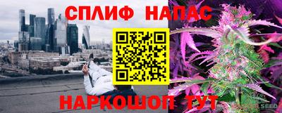 крисы Лесосибирск