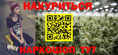 крисы Лесосибирск