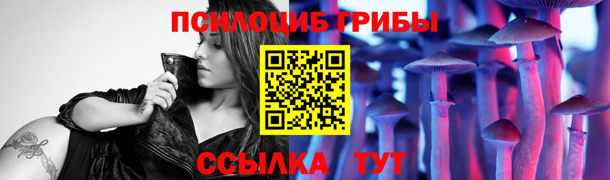 Псилоцибиновые грибы мицелий  Галлюциногенные грибы прущие грибы  Вход с VPN  Губаха 